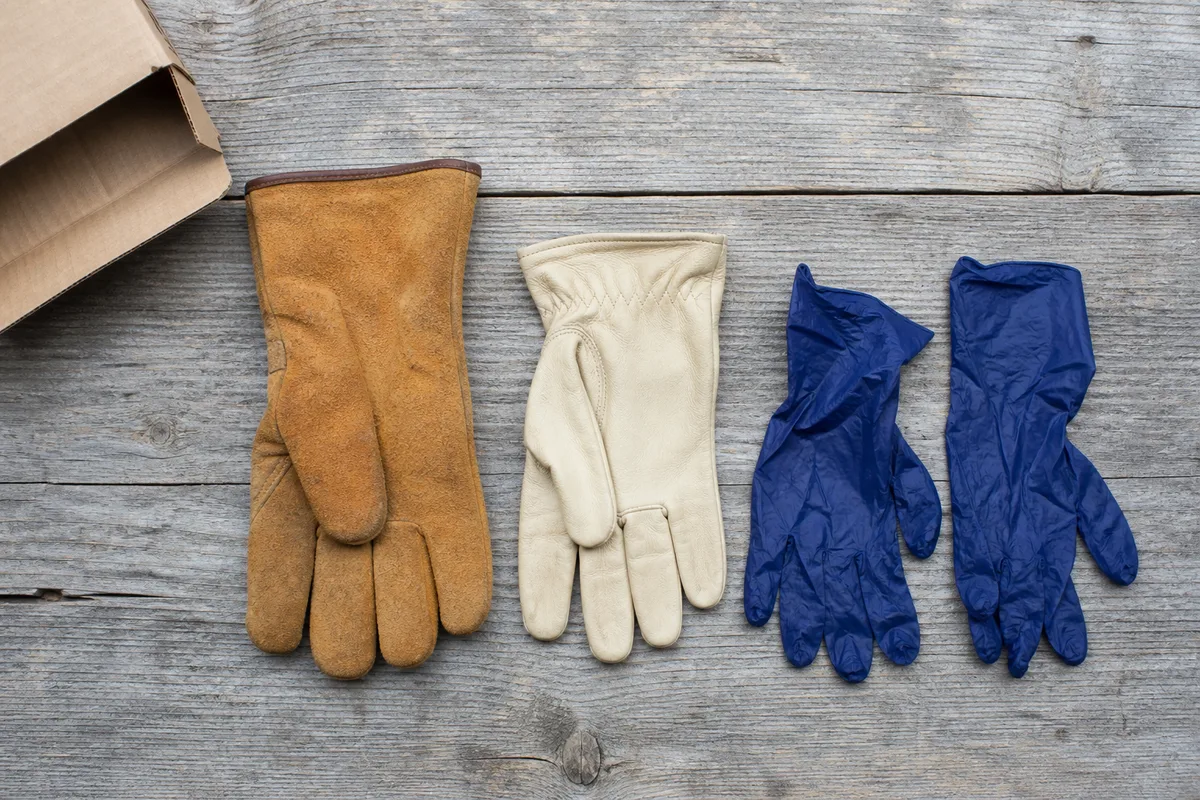 Gants d’apiculture en cuir clair et gants nitrile posés sur une planche de bois brut au rucher