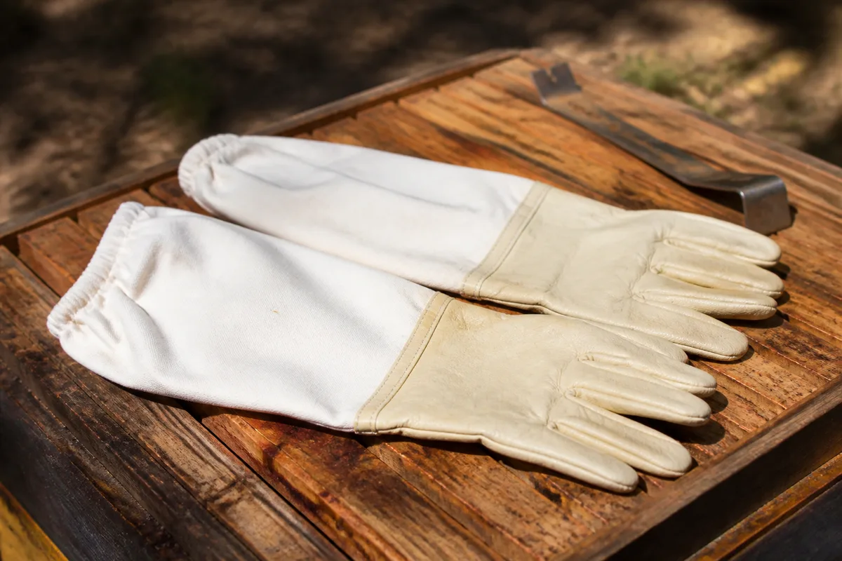 Gants d'apiculture : quel modèle pour quel usage